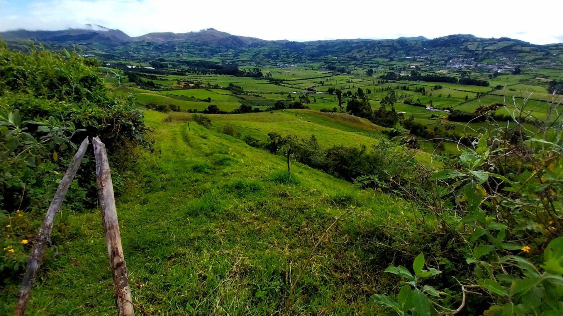 Panorama del comprensorio agricolo di Ibarra su cui sono stati effettuati studi di rigenerazione del suolo. Si osservano verdi declivi e porzioni pianeggianti coltivate.