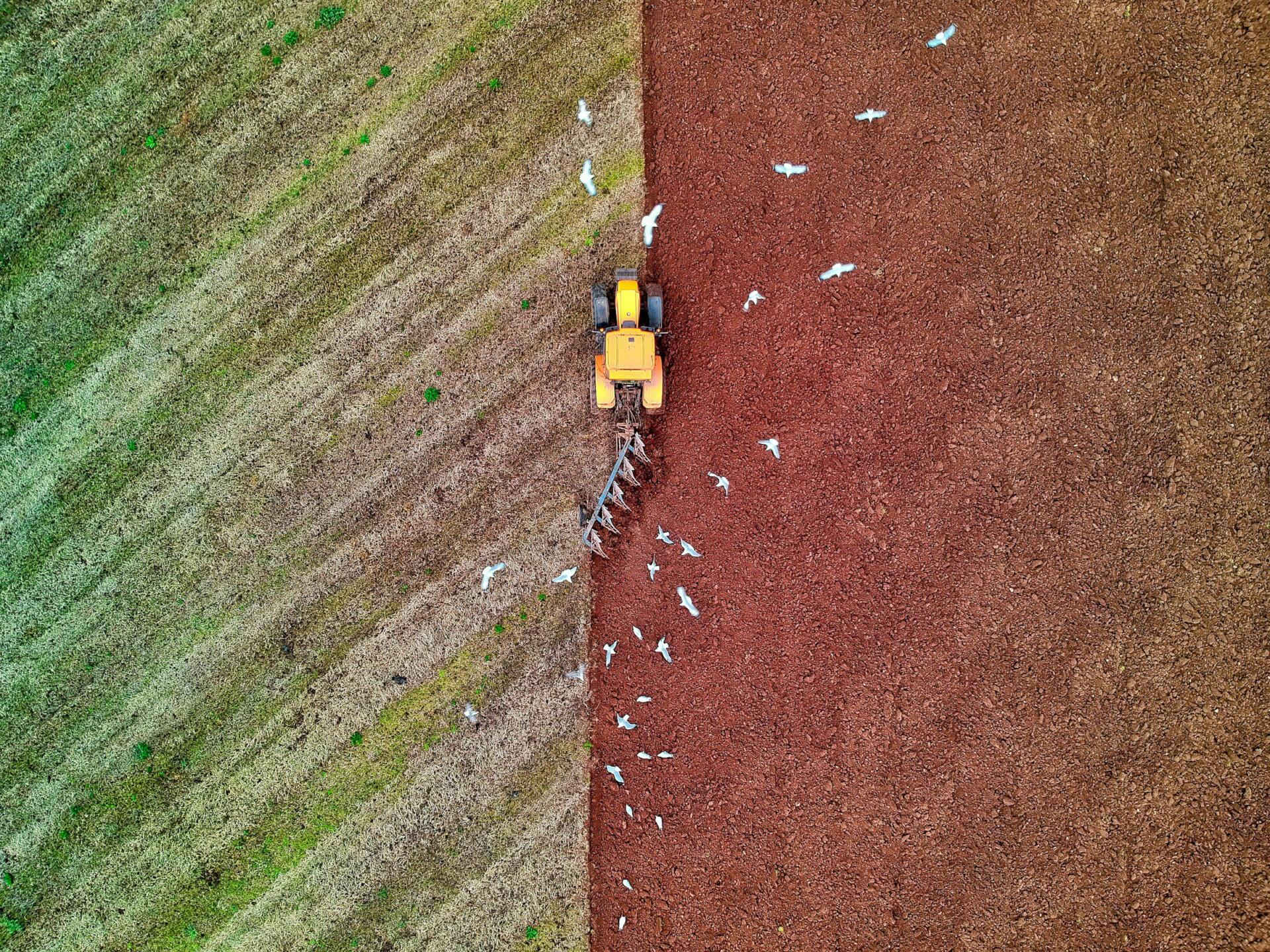 Immagine di un mezzo agricolo che dissoda la terra producendo un forte effetto cromatico: a sinistra il verde-bruno della terra non ancora lavorata, a destra il rosso-mattone del suolo dedicato all'agricoltura sostenibile. Uno stormo di uccelli bianchi segue il trattore.
