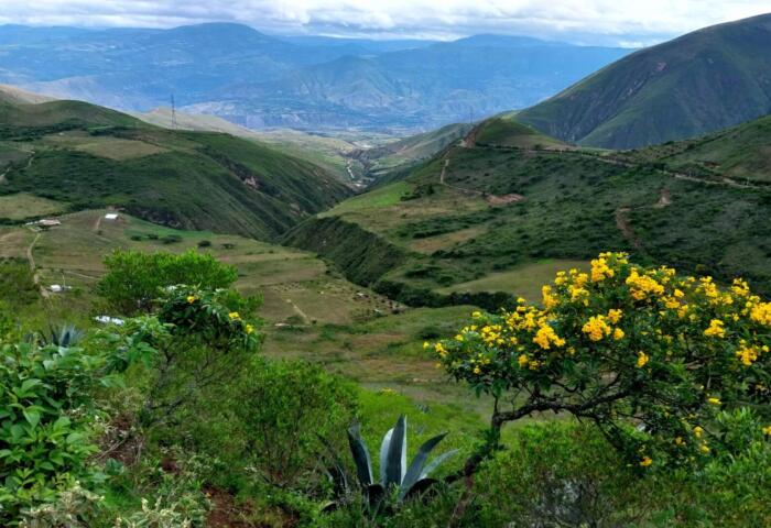 Panorama di una valle in Ecuador, in primo piano un arbusto con fiori gialli, sulle pendici terreni coltivati con prodotti che stimolano la rigenerazione del suolo.